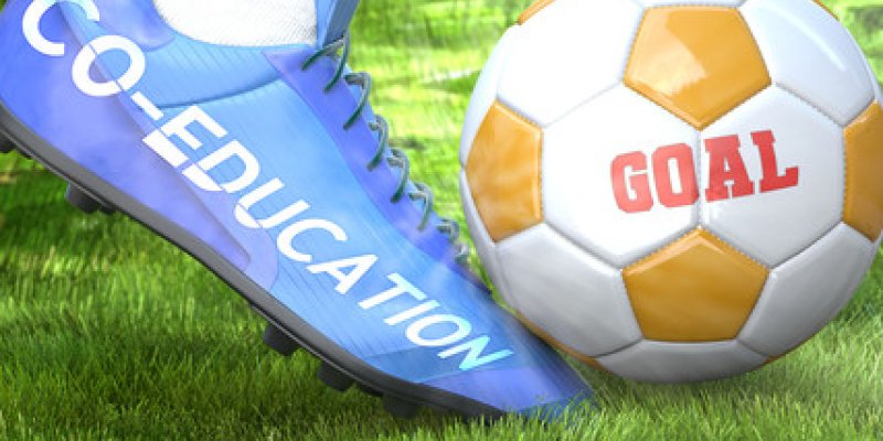 What Does Co-Educational School Sport Really Mean?